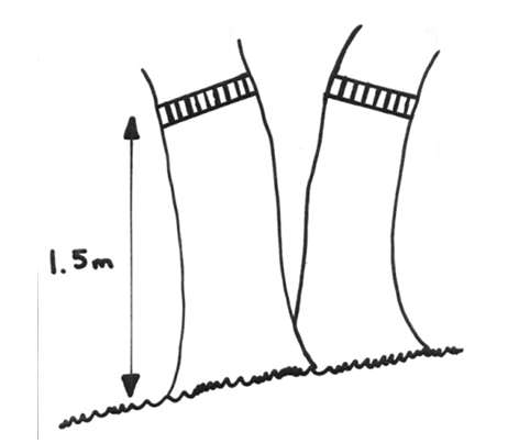 Measure tree