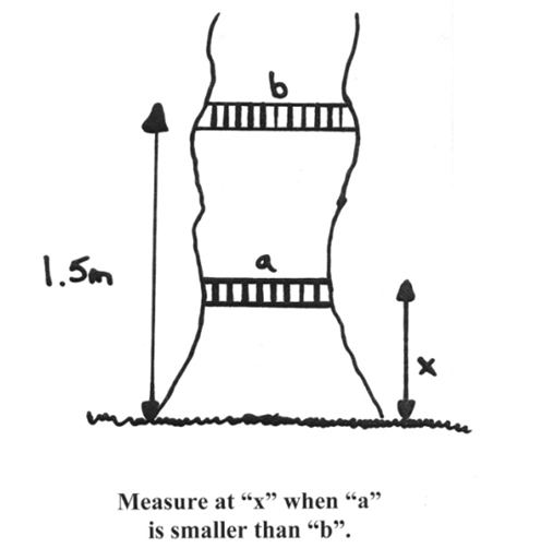 Measure tree