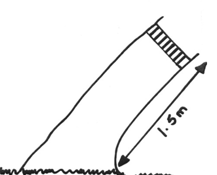 Measuring Tree