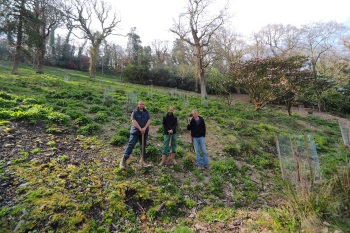 Old Park after planting March 2015