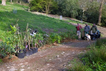 Old Park Before planting March 2015