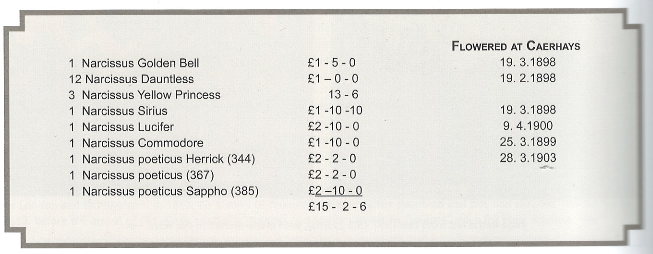 Daffodil bulb list