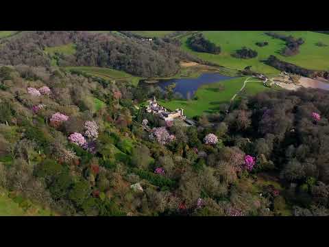 Caerhays at its best in Spring