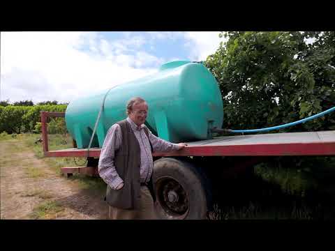 Watering on a grand scale at Caerhays