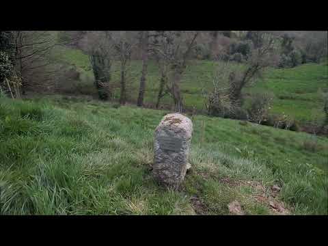 Plant a tree as a memorial at Caerhays