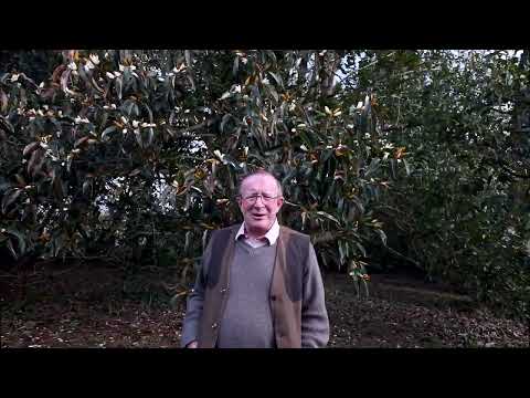 Latest video from Charles in the garden at Caerhays