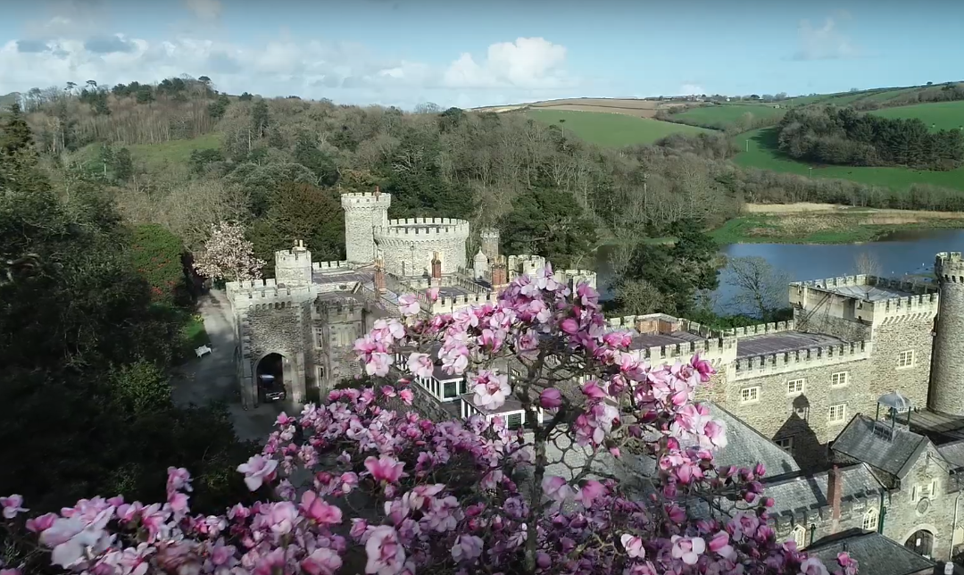 The Garden – Overview
