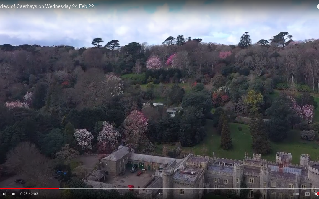 Aerial flyover  of the gardens in early March