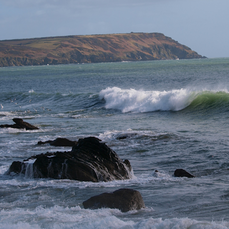 Caerhays Estate - The Coast