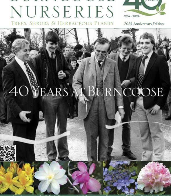 40 years at burncoose catalogue cover