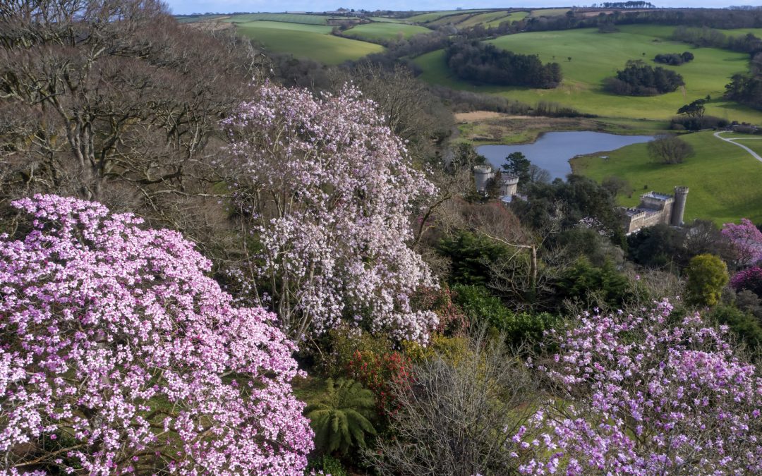 Visitor Information and Opening Hours