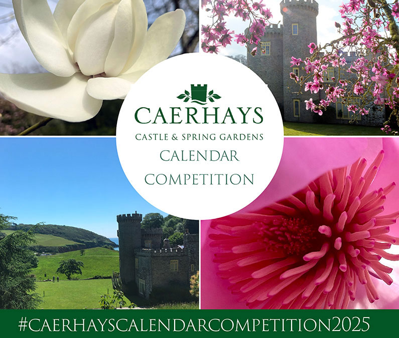 Caerhays Castle Spring Gardens 2025 Calendar Competition