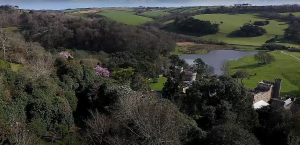 Drone spring gardens