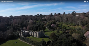 Drone spring gardens