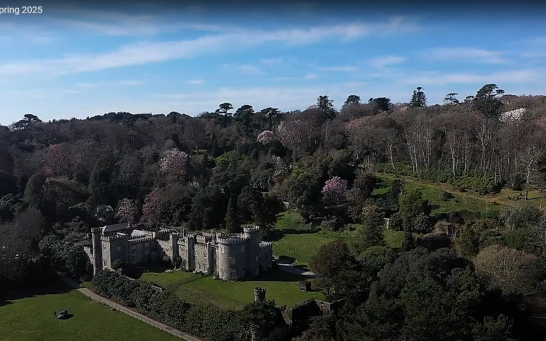 Caerhays from the air!