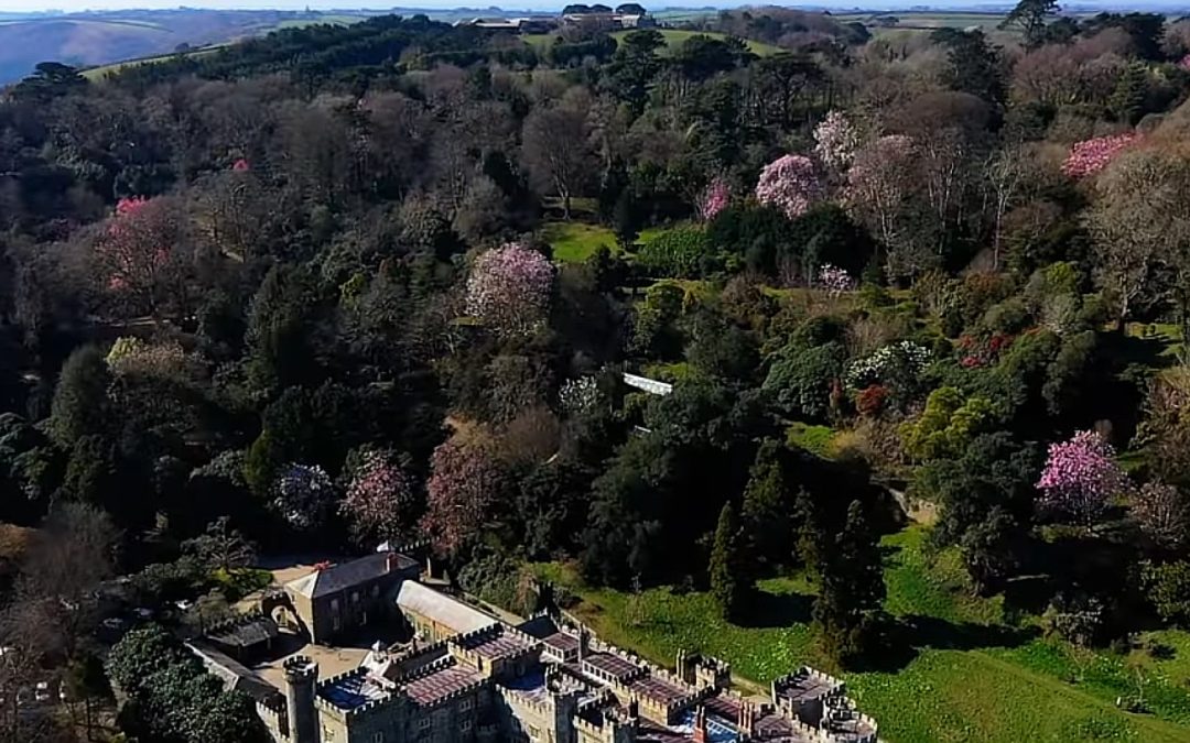 Drone spring footage