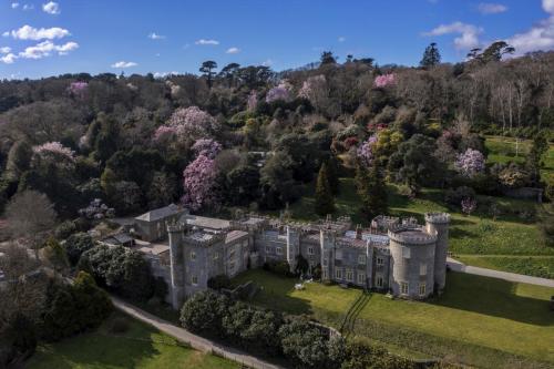 Magnolias at the Castle