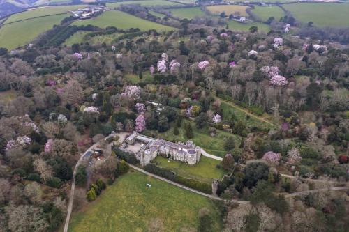 Magnolias at the Castle